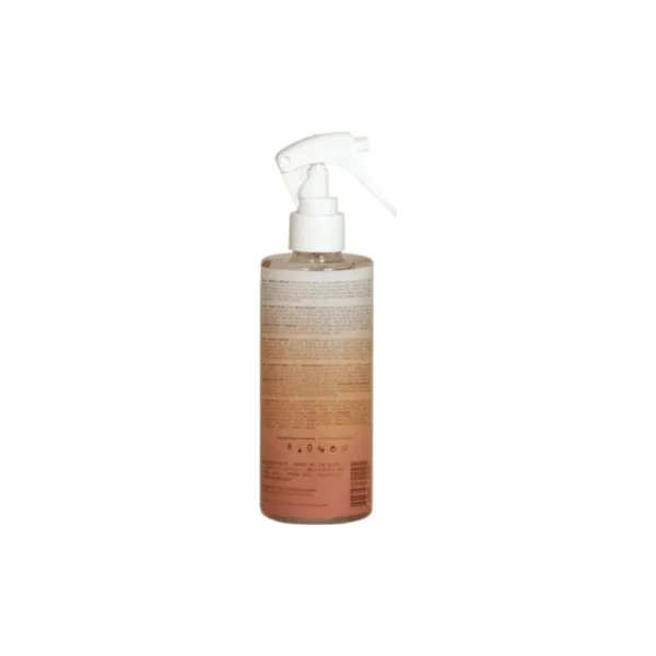 BRAE BEACH HAIR DAY 260ML