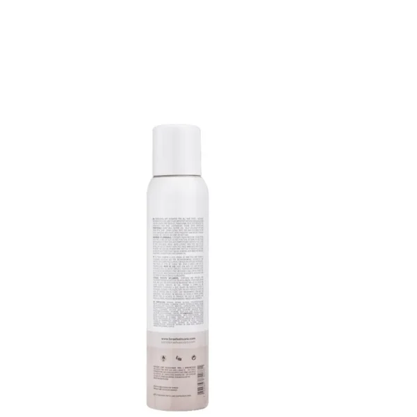 BRAE SHAMPOO DRY A SECO