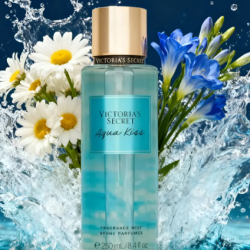 Captura de tela 2026-03-03 141353